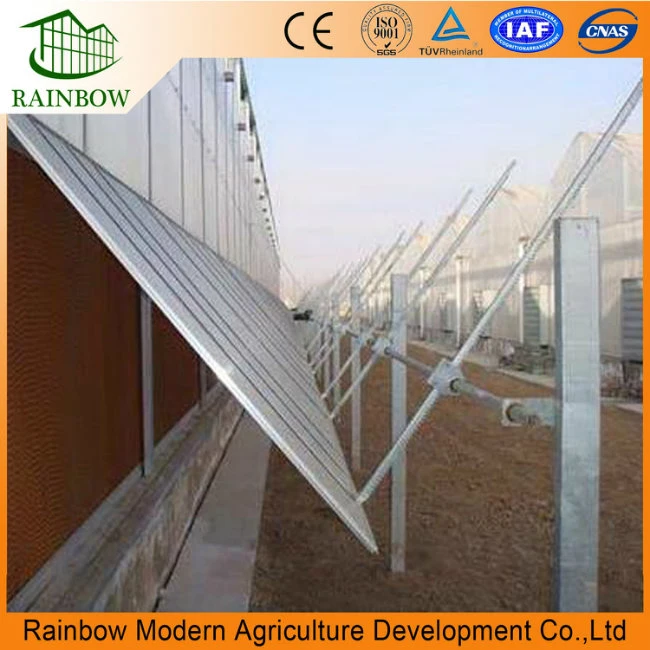 Side and Top Ventilation System for Factory Greenhouse